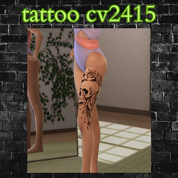 tattoo cv2415 project image