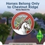 HorseRanchFix:Horses Belong Only to Chestnut Ridge logo