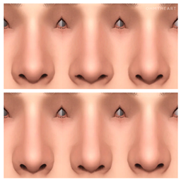 male nose presets 6-11 project image