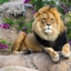 ZooCraft Uncaged (Zoo) logo