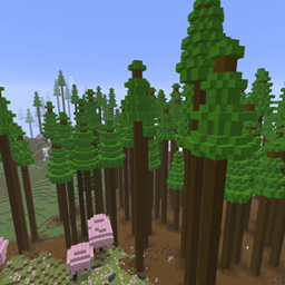 Ku's Sequoia Trees