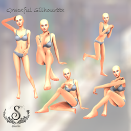 Graceful Silhouette project image