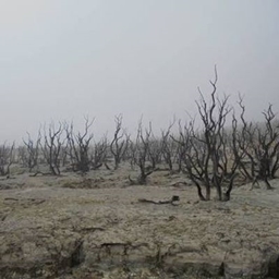WastelandCraft Uninhabitable (Wasteland) project image