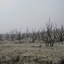 WastelandCraft Uninhabitable (Wasteland) logo