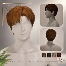 Niven Hair  25 - Drama Doctor Hair (Males) project image