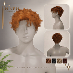 Niven Hair 26 - Messy Babe (Males) project image