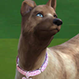 Collar for dogs "Love At First Sight"
