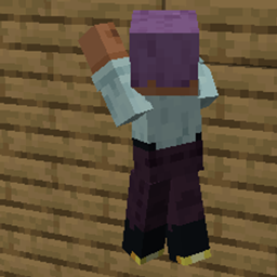 Wall Grab project image