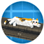 Create: Cats Don't Care (CCDC) logo
