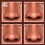 Louis Nose Presets (N12-15) logo
