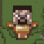 PublicSkinTotems logo