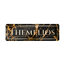 ERYDON Themelios logo