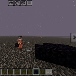 Nether roof height decreaser logo