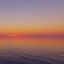 Only Oceans logo