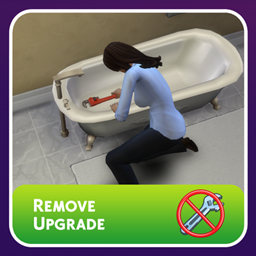 Remove Upgrade project image