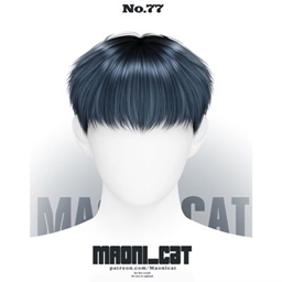 [Maoni_cat]HAIR No.77 project image