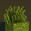 Rad's Lush Foliage logo