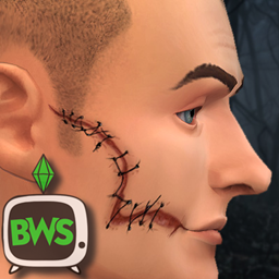From - Randall's Scar project image
