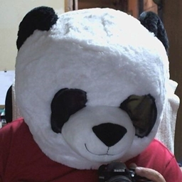 Bears Boon Viewer project image