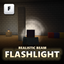 flashy flashlight logo