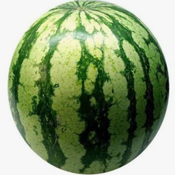 The war watermelon project image