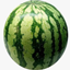The war watermelon logo