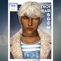 Troy Hair Set project image