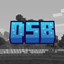 Dynamic Server Browser logo