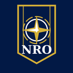 Nexus Social logo