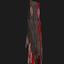 carnaged_dweller logo