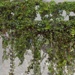 Plants 1 project image