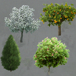 Plants 3 project image
