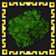 Bushy Leaves Enhanced logo