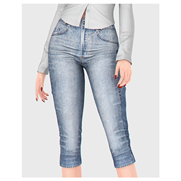 Anna Capri Jeans project image