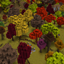 Extra Biome Travels logo