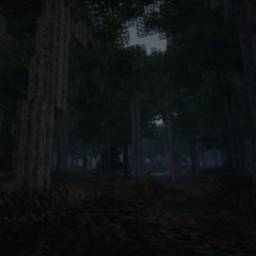 The Lost Woods