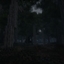 The Lost Woods logo