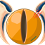 Starry RPG tech logo