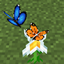 Flutter - Butterflies & Fireflies logo