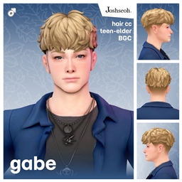Gabe Hair project image