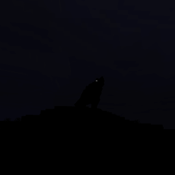 JAMP_Daybound_Aggresion