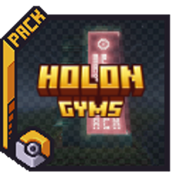 Holon Gyms project image