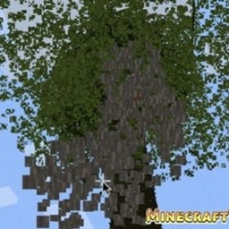 fast tree harvester