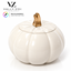 Pumpkin Candle Closed [VZ] logo