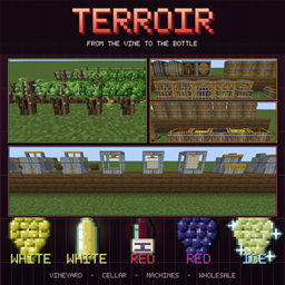 Terroir Winery project image