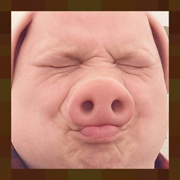 Porkium project image