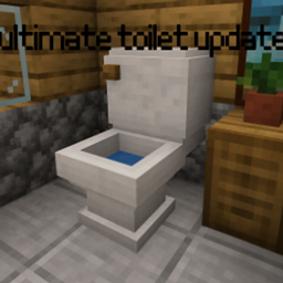 ULTIMATE TOILET UPDATE project image
