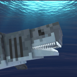 Faentum's Sharks project image