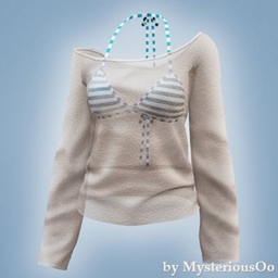 Swimsuit top with sheer cover up project image