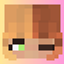 Customizable Skin Effects logo